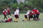dsc_0154_small.jpg