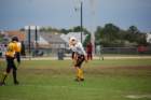 dsc_01672_small.jpg
