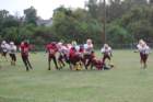 dsc_0167_small.jpg