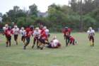 dsc_0168_small.jpg