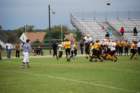 dsc_01692_small.jpg