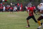 dsc_0169_small.jpg