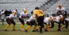 dsc_0176_small.jpg