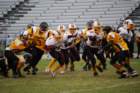 dsc_0178_small.jpg