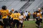 dsc_0179_small.jpg