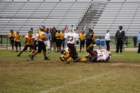 dsc_0186_small.jpg