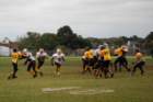 dsc_0188_small.jpg
