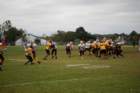 dsc_0189_small.jpg