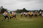 dsc_0190_small.jpg