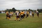 dsc_0193_small.jpg