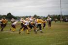 dsc_0194_small.jpg