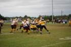 dsc_0195_small.jpg