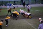 dsc_0214_small.jpg