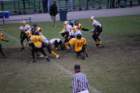 dsc_0216_small.jpg