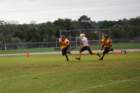 dsc_0223_small.jpg