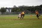dsc_0224_small.jpg