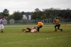 dsc_0225_small.jpg