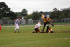 dsc_0226_small.jpg
