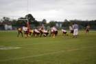 dsc_0228_small.jpg