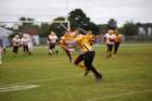 dsc_0233_small.jpg