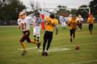 dsc_0236_small.jpg