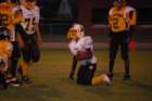 dsc_0250_small.jpg